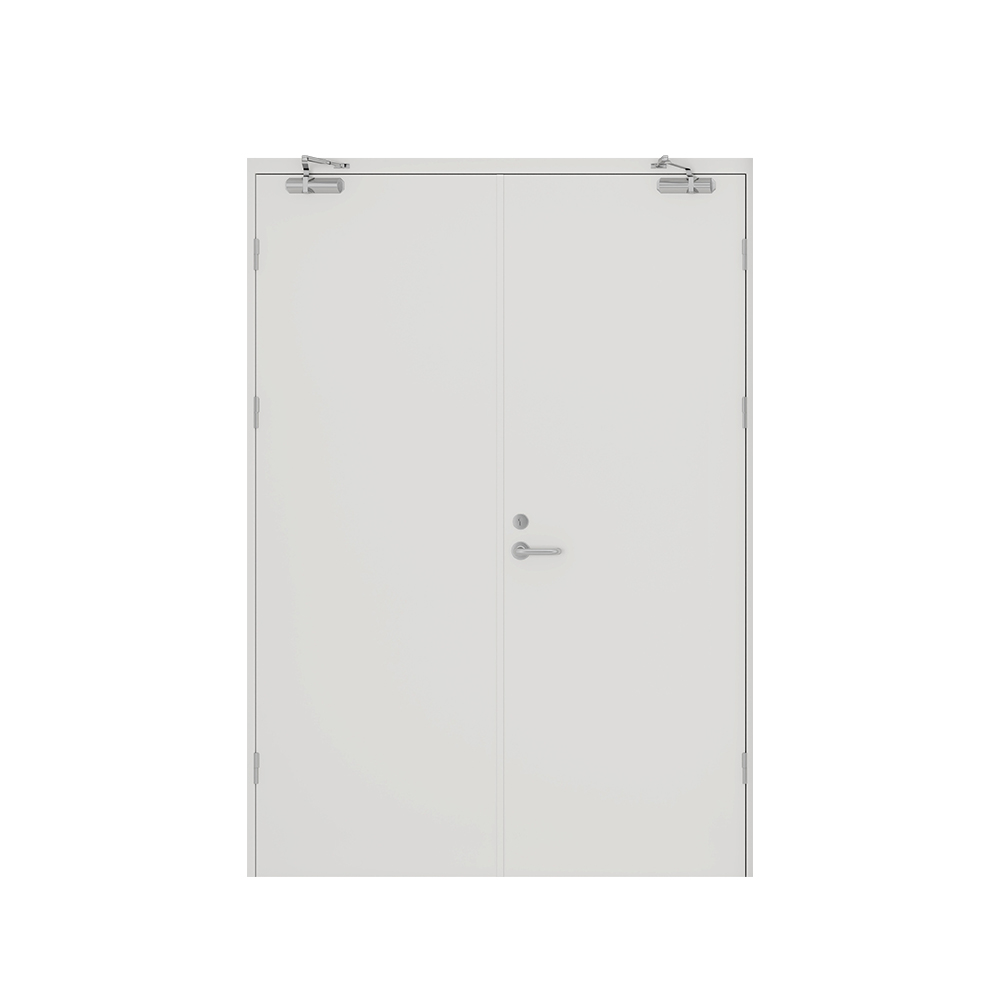 AIS steel double leaf safety fire proof european steel door